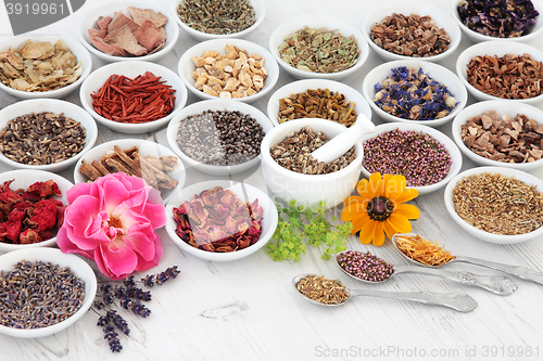 Image of Flower and Herb Medicine