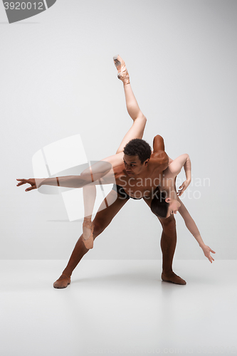 Image of Couple of ballet dancers posing over gray background