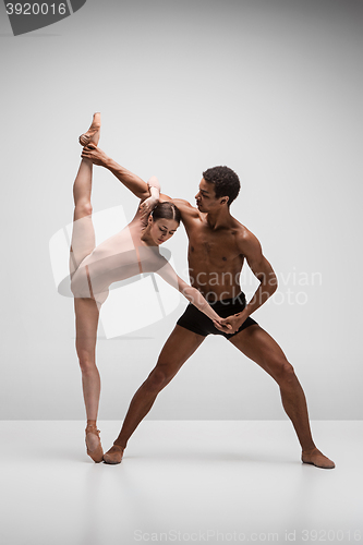 Image of Couple of ballet dancers posing over gray background