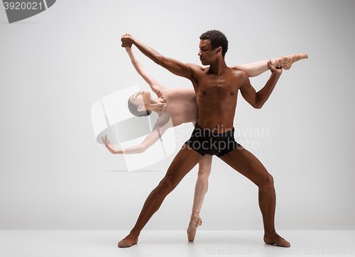 Image of Couple of ballet dancers posing over gray background