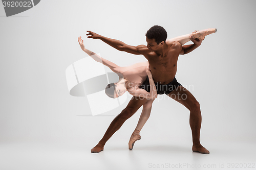 Image of Couple of ballet dancers posing over gray background