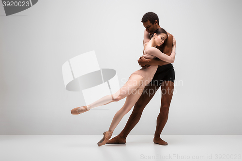 Image of Couple of ballet dancers posing over gray background