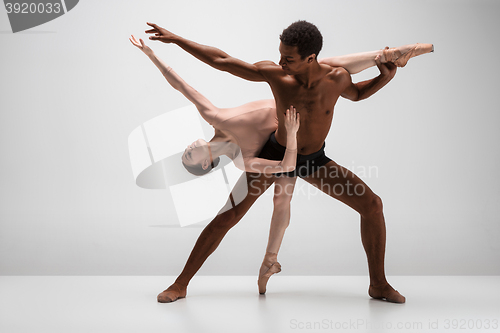 Image of Couple of ballet dancers posing over gray background
