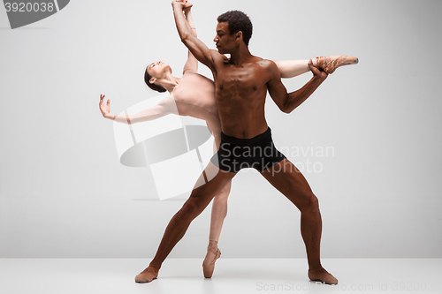Image of Couple of ballet dancers posing over gray background