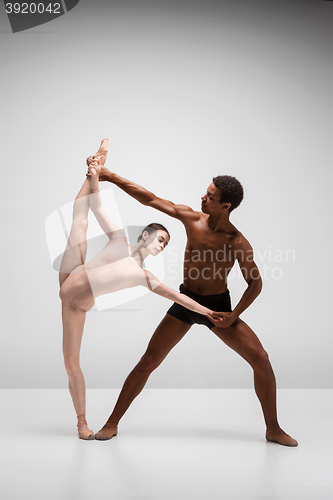 Image of Couple of ballet dancers posing over gray background