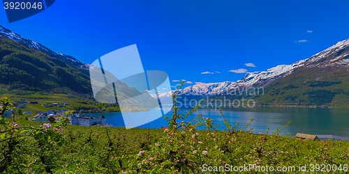 Image of Hardangerfjord in Norway