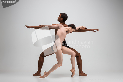 Image of Couple of ballet dancers posing over gray background