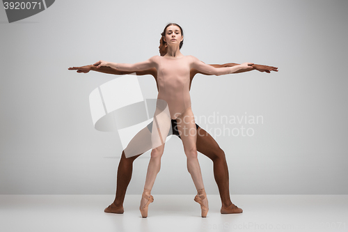 Image of Couple of ballet dancers posing over gray background