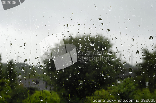 Image of Rain on window