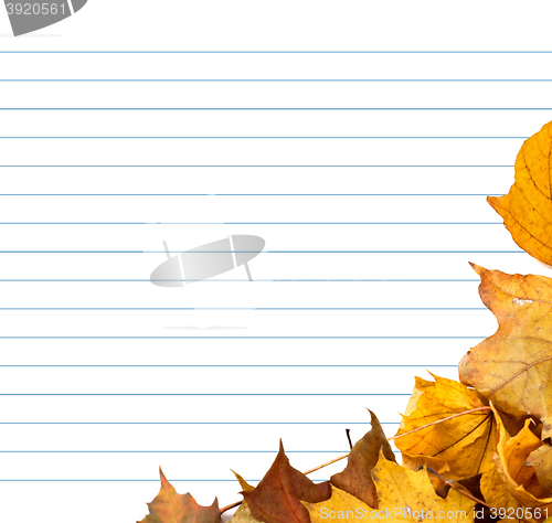 Image of Autumn maple-leafs and notebook paper