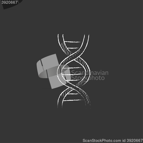 Image of DNA. Drawn in chalk icon.