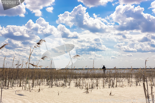 Image of Landscape with a cloudy sky and reed sandy beach