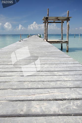 Image of Tropical Boardwalk