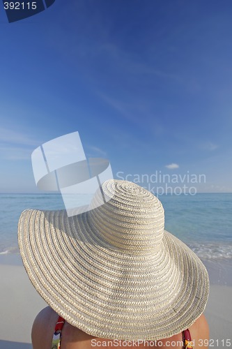 Image of Life is a Beach