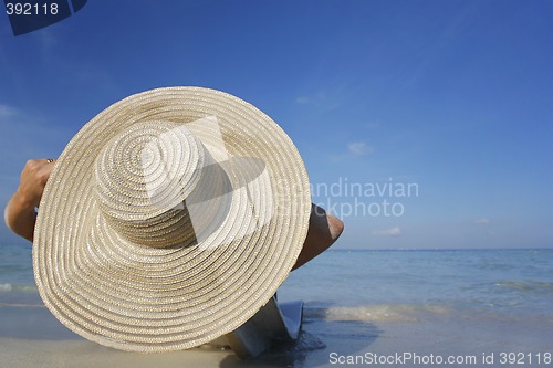 Image of Life is a Beach