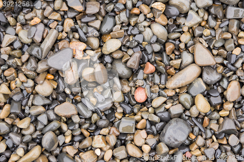 Image of The surface texture of wet sea beach pebbles of medium and small size