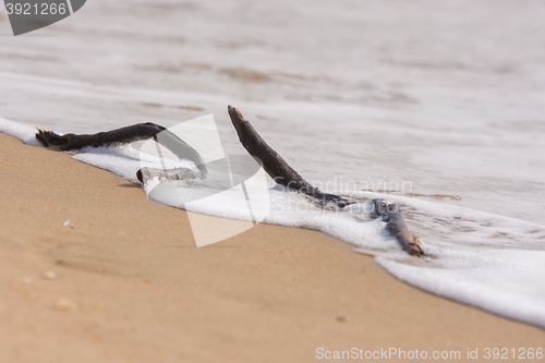 Image of Sticks made by a wave of the sea lying on the surf line