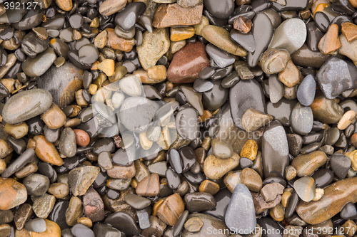 Image of Background texture of wet sea pebbles of medium size