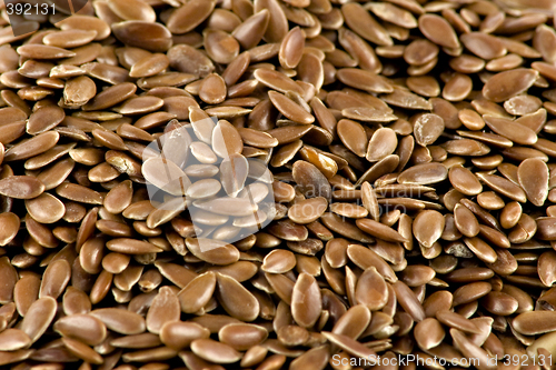 Image of A close-up picture of some flax-seed
