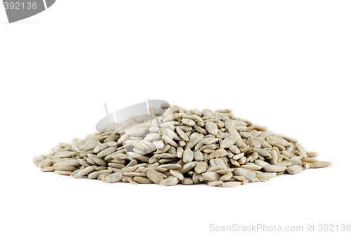 Image of A pile of Sunflower seeds isolated on white background