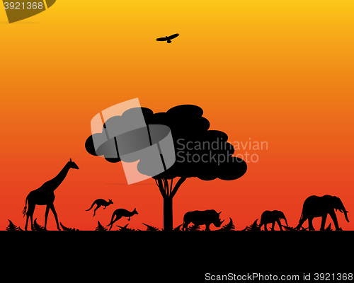 Image of wild animals of Africa