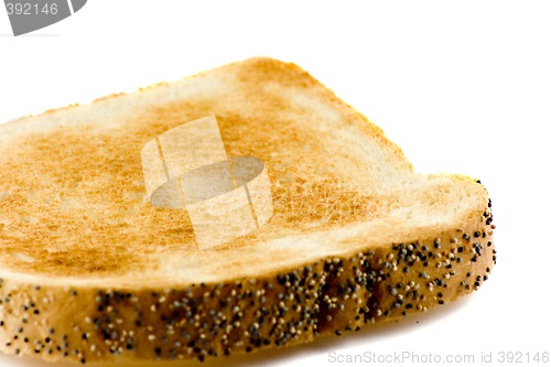 Image of Close-up picture of a toasted bread isolated on white background