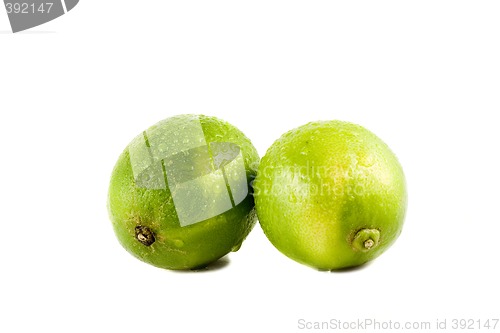 Image of Lime fruits with water drops isolated on white background