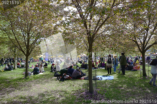 Image of HELSINKI, FINLAND – MAY 15, 2016: Japanese cherry blossom fest