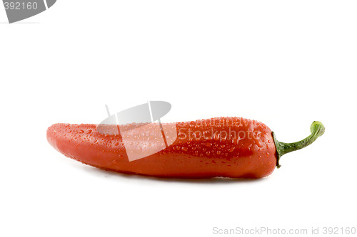 Image of Red hot chili pepper with water drops isolated on white backgrou