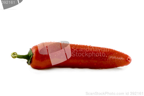 Image of Red hot chili pepper with water drops isolated on white backgrou