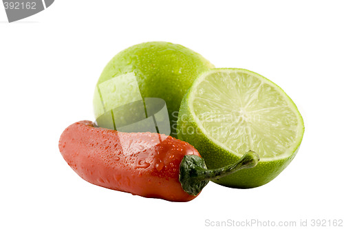 Image of Two lime and a red chili isolitad on white background