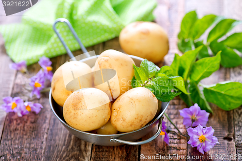 Image of raw potato