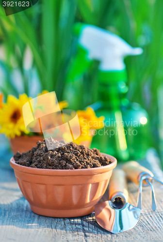 Image of garden tools