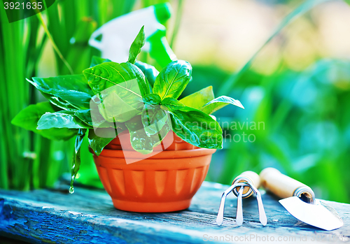 Image of gardening utensil