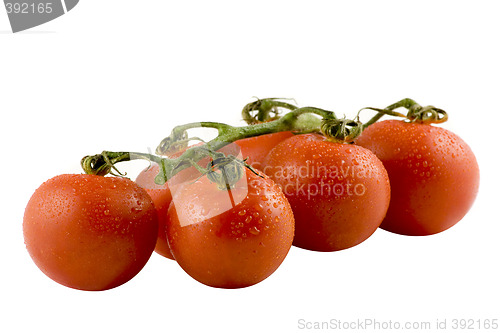 Image of Six fresh tomatos isolated on white background