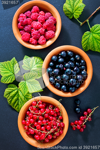 Image of berries