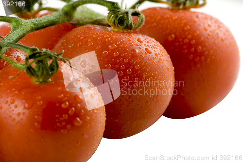 Image of Red tomatos isolated on white, selective focus