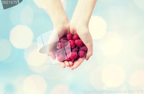 Image of close up of woman hands holding raspberries