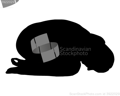 Image of Silhouette of woman doing yoga