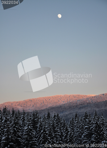 Image of Moonrise in winter scenery