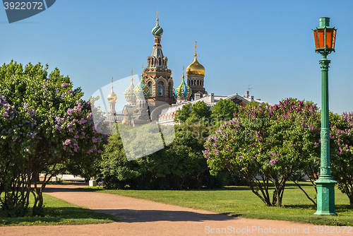 Image of Saviour on Spilled Blood.