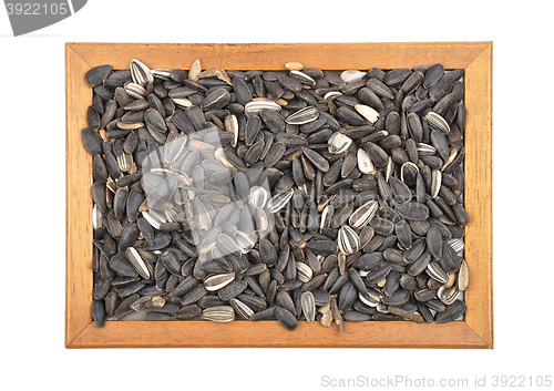 Image of Bird seed in frame