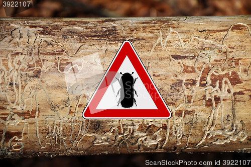 Image of Bark-beetle attention sign