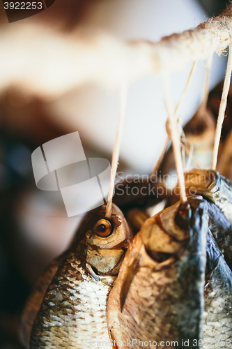 Image of dried fish hanging on a rope