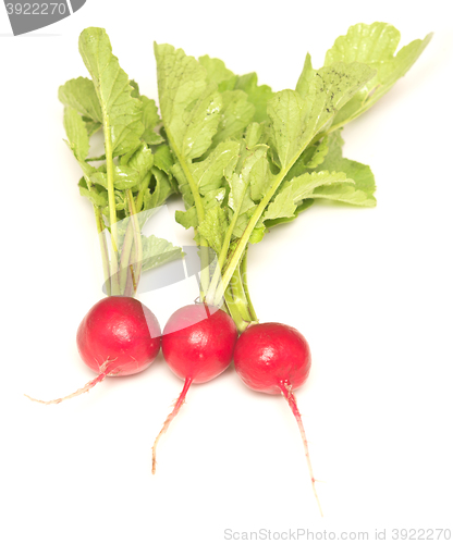 Image of radish on white
