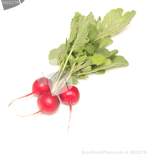 Image of radish on white