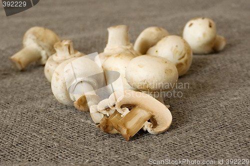 Image of table mushrooms