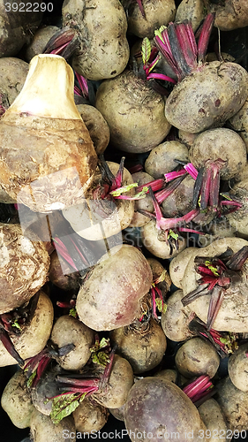 Image of Raw organic radishes