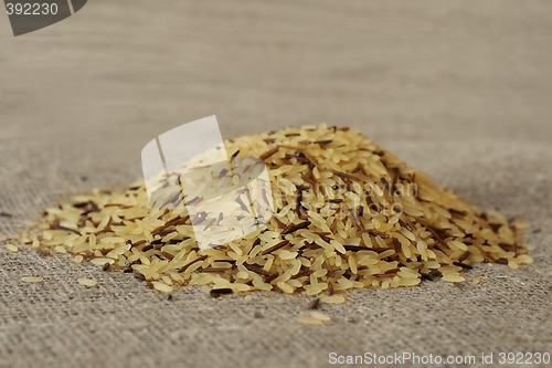 Image of wild rice grains