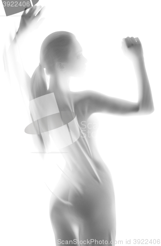 Image of Silhouette of young sexy woman on white background. 